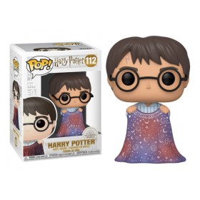 Harry Potter with invisibility cloak 